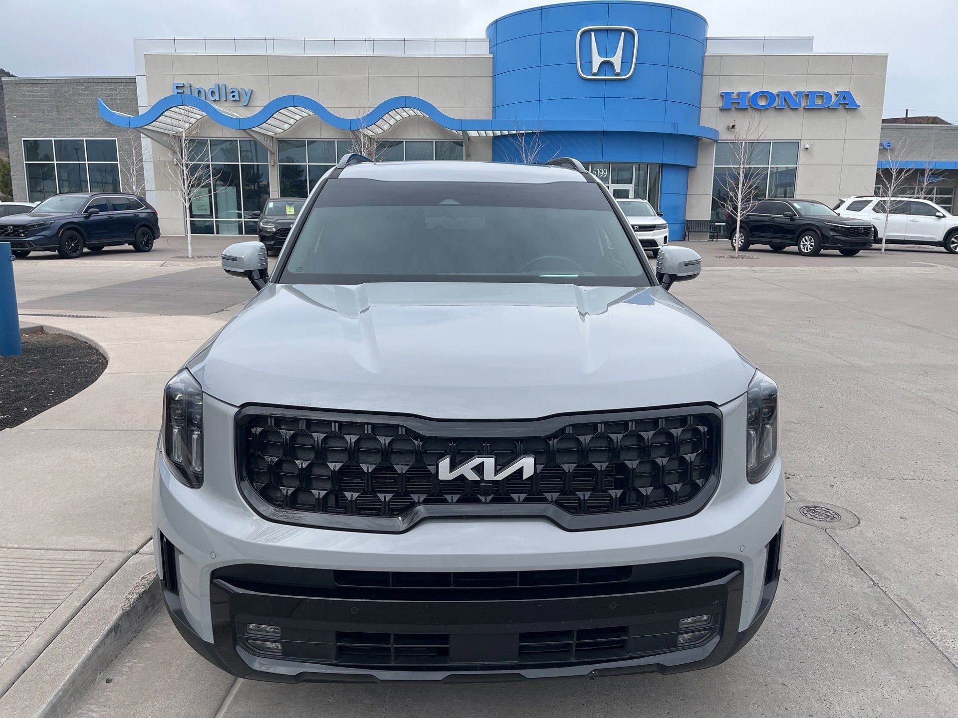 Used 2024 Kia Telluride SX Prestige X-Line with VIN 5XYP5DGC7RG457841 for sale in Flagstaff, AZ