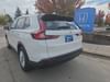 6 thumbnail image of  2026 Honda CR-V LX AWD