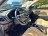 15 thumbnail image of  2019 Honda CR-V EX-L