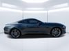 1 thumbnail image of  2019 Ford Mustang GT Premium