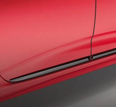 Lower Door Blade Accent Trim