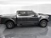 33 thumbnail image of  2019 Ford F-150 Raptor