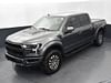 28 thumbnail image of  2019 Ford F-150 Raptor