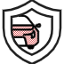 Car in the shield icon