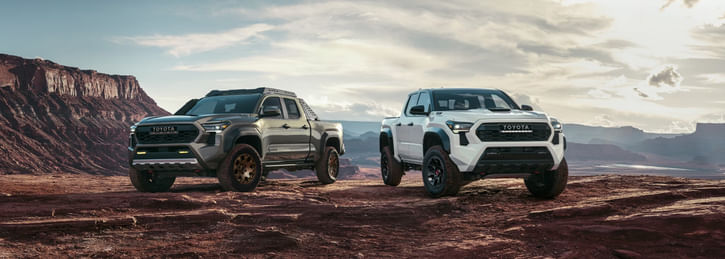 On the left a green Toyota Tacoma and on the right a white Toyota Tacoma