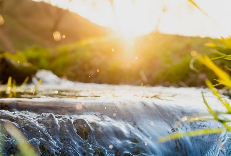 A clear stream of water flows gently over rocks, surrounded by lush green grass.