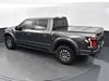 30 thumbnail image of  2019 Ford F-150 Raptor