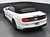 32 thumbnail image of  2019 Ford Mustang GT Premium