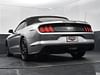 38 thumbnail image of  2020 Ford Mustang GT Premium