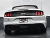 41 thumbnail image of  2019 Ford Mustang GT Premium