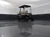31 thumbnail image of  2018 Golf Cart Yamaha Drive2