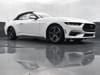 39 thumbnail image of  2024 Ford Mustang EcoBoost Premium