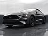 39 thumbnail image of  2023 Ford Mustang EcoBoost Premium