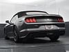 42 thumbnail image of  2023 Ford Mustang EcoBoost Premium