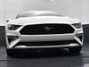 44 thumbnail image of  2019 Ford Mustang GT Premium