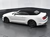 31 thumbnail image of  2019 Ford Mustang GT Premium