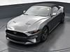 31 thumbnail image of  2023 Ford Mustang EcoBoost Premium