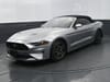 1 placeholder image of  2020 Ford Mustang GT Premium