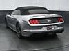 4 thumbnail image of  2020 Ford Mustang GT Premium