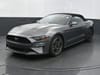 1 placeholder image of  2021 Ford Mustang EcoBoost Premium Convertible