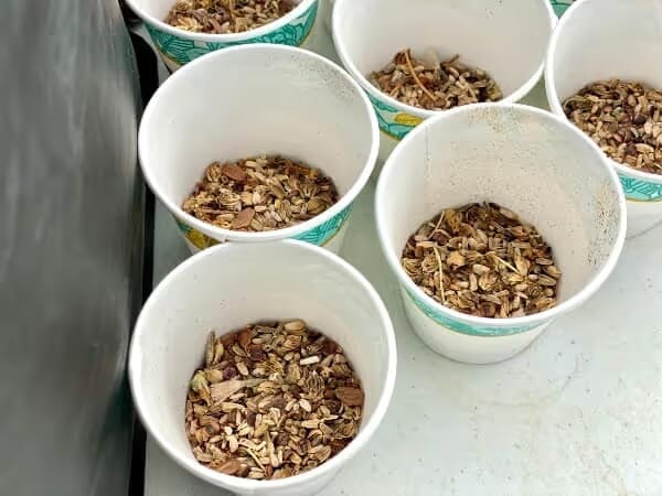 Six white cups filled with assorted seeds are arranged on a light surface. The scene conveys a sense of preparation and organization, suggesting gardening or planting.