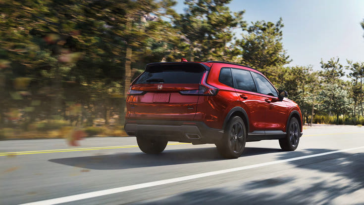 The rear view of a red Honda CR-V driving on a paved road surrounded by trees.
