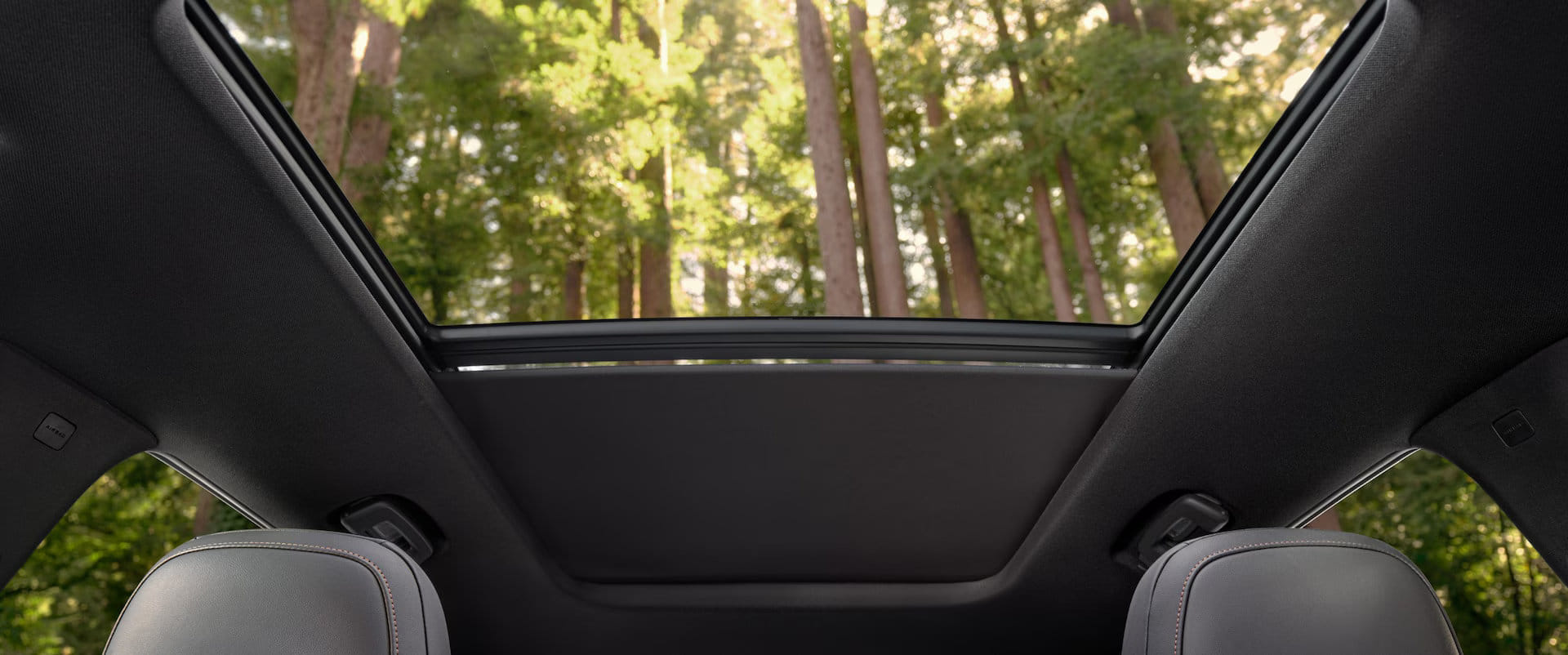 View looking up through the open panoramic sunroof of the 2025 Honda Prologue, revealing tall, sunlit trees against the sky, showcasing the vehicle's airy cabin