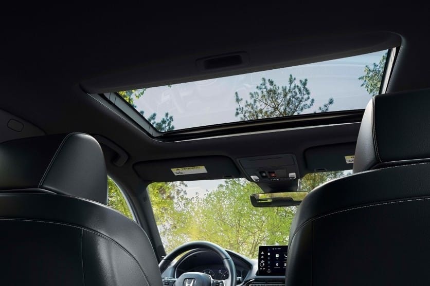 Interior view of a 2025 Honda Civic Hatchback featuring a sunroof, with lush green trees visible above, highlighting a spacious and modern design.