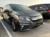 2 thumbnail image of  2019 Honda Odyssey EX-L