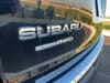 6 thumbnail image of  2019 Subaru Ascent Limited