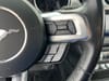20 thumbnail image of  2022 Ford Mustang GT