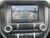 22 thumbnail image of  2022 Ford Mustang GT