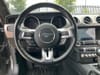 17 thumbnail image of  2022 Ford Mustang GT