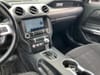 18 thumbnail image of  2022 Ford Mustang GT