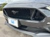 14 thumbnail image of  2022 Ford Mustang GT