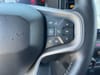 23 thumbnail image of  2023 Ford Bronco Badlands