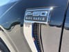 12 thumbnail image of  2023 Ford F-150 King Ranch