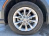 13 thumbnail image of  2023 Honda CR-V EX-L