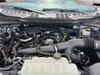 14 thumbnail image of  2024 Ford F-150 XL