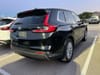 3 thumbnail image of  2024 Honda CR-V EX-L