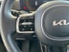 19 thumbnail image of  2024 Kia Sorento EX