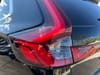 7 thumbnail image of  2025 Honda CR-V EX
