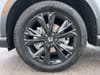 14 thumbnail image of  2025 Honda CR-V Hybrid Sport Touring