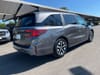 4 thumbnail image of  2025 Honda Odyssey EX-L