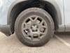 14 thumbnail image of  2025 Honda Pilot TrailSport