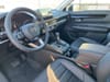 11 thumbnail image of  2026 Honda CR-V EX-L