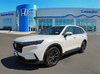 1 thumbnail image of  2026 Honda CR-V EX-L