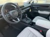 11 thumbnail image of  2026 Honda CR-V EX-L