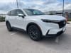2 thumbnail image of  2026 Honda CR-V EX-L