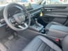 11 thumbnail image of  2026 Honda CR-V EX-L